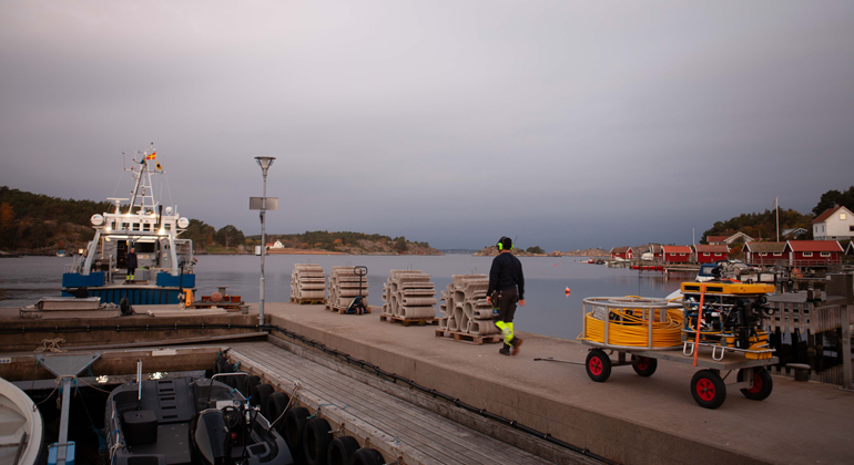 Konstgjorda rev som ligger på kajen i väntan på att sättas ut.